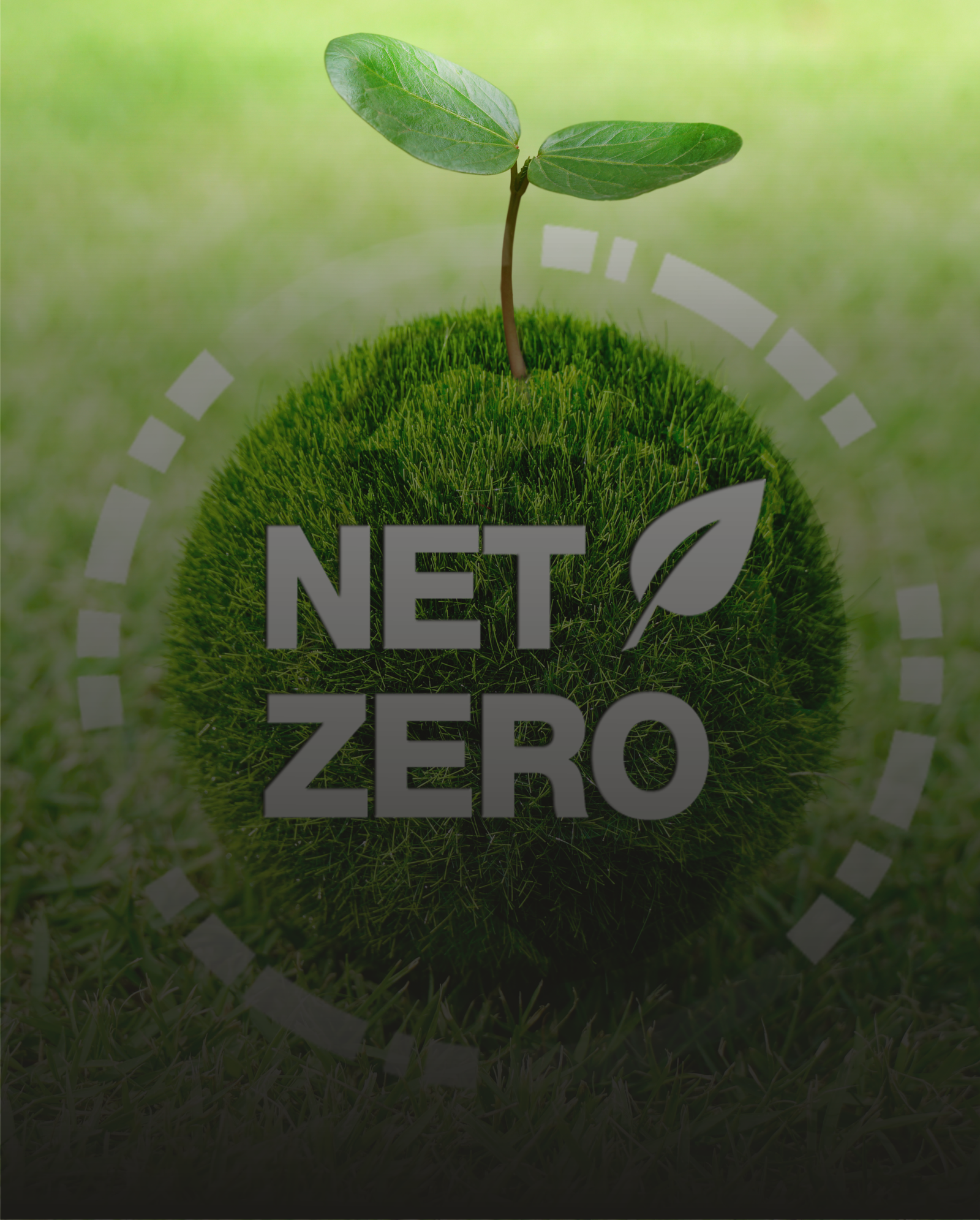 Net Zero